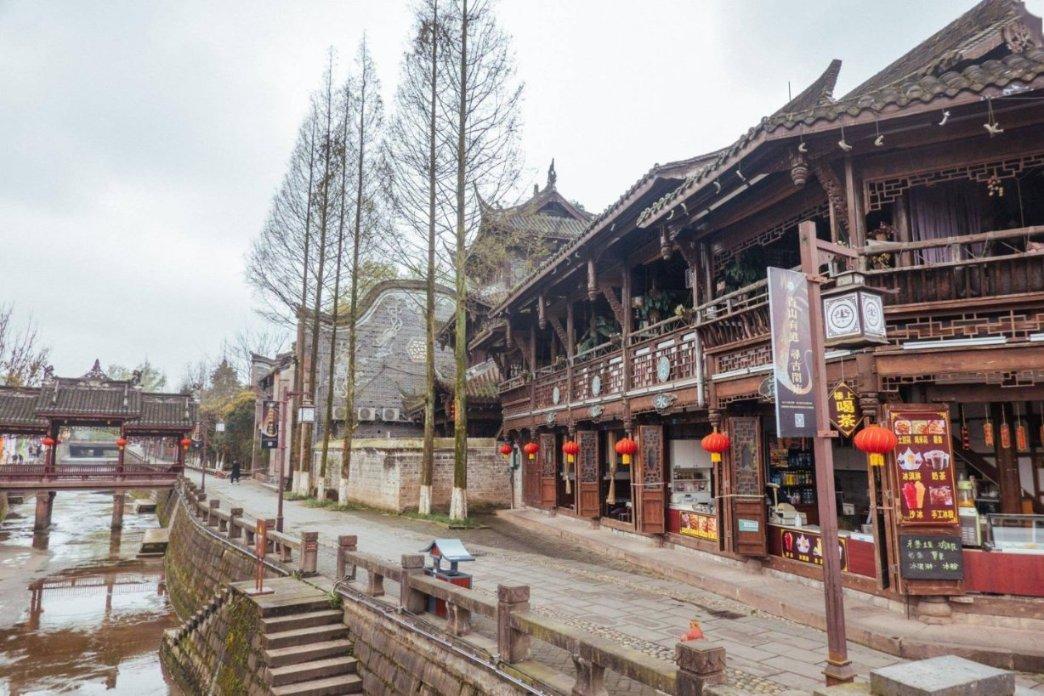 空心菜的品种有哪些?北方露天种植需要注意哪些问题?官方认证,信赖之选-知识星球平台